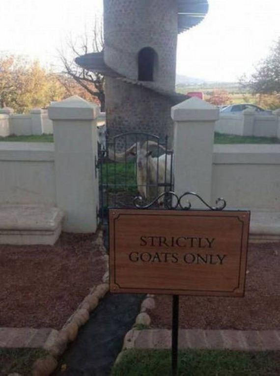 question_is_wtf