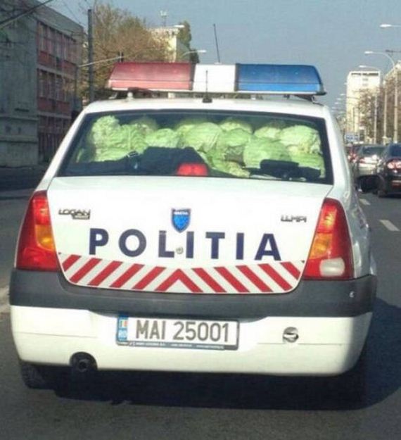 question_is_wtf