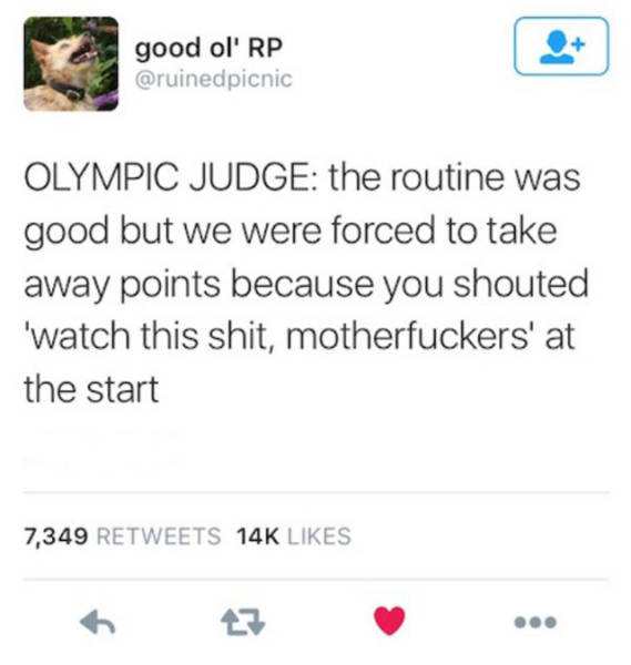 selection_of_funny_moments
