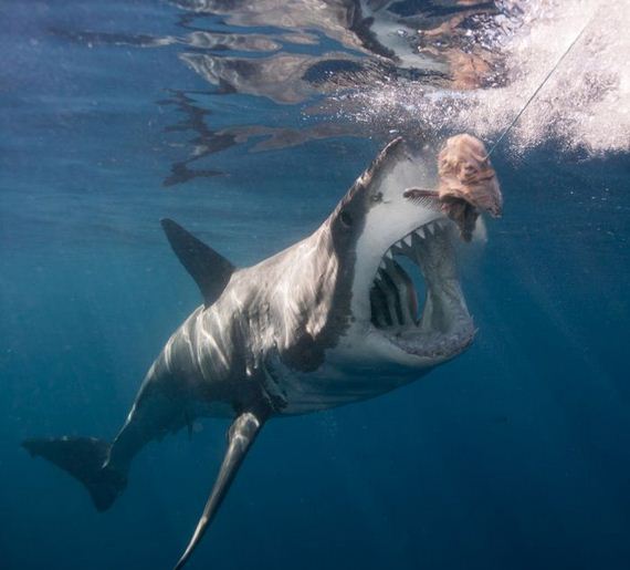 terrifying_pictures