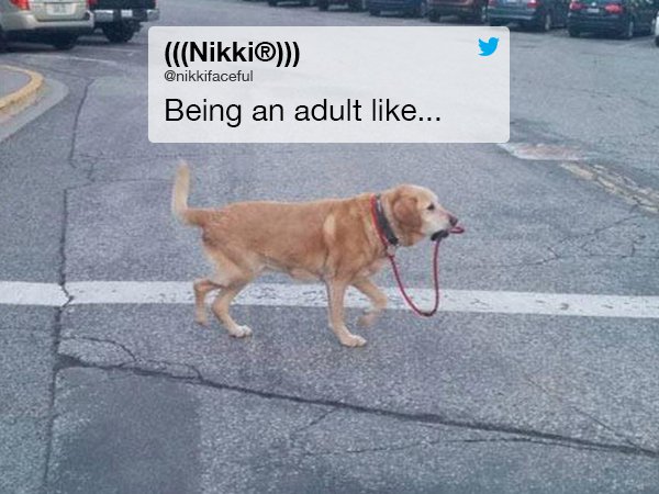 tweets-about-adulthood-thatll-make