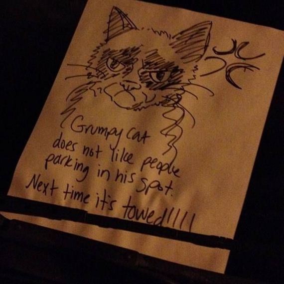 windshield_diaries