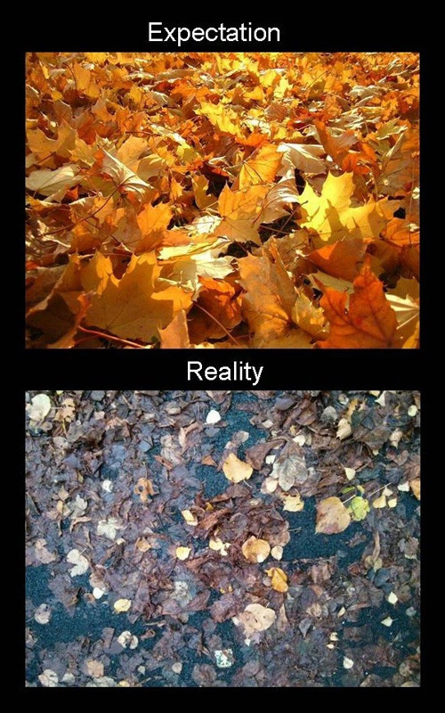 autumn