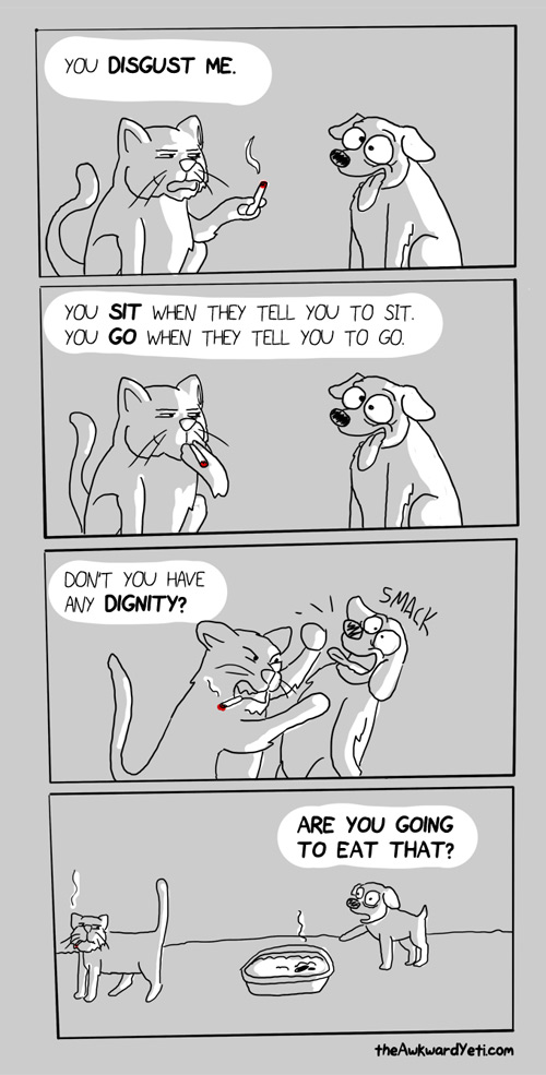 dignity