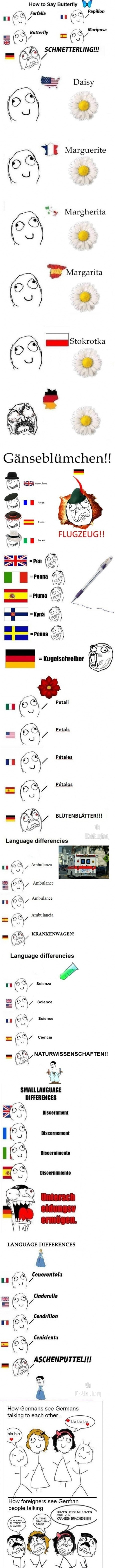 german