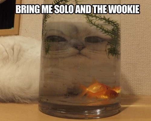jaba