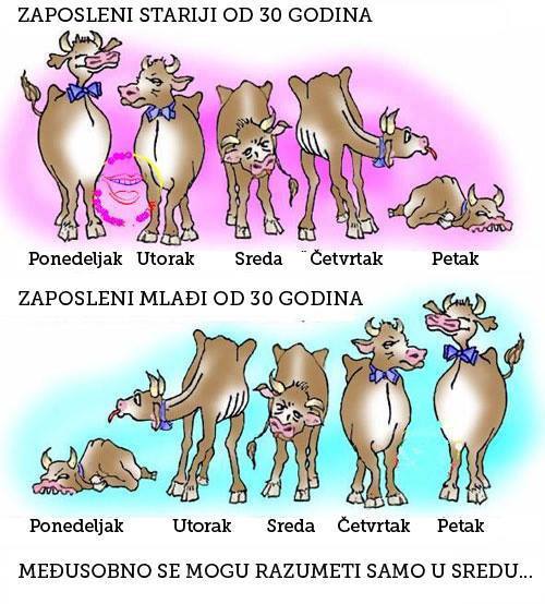 posao