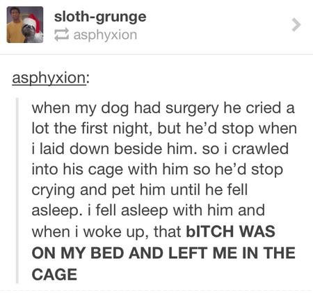 best-friend