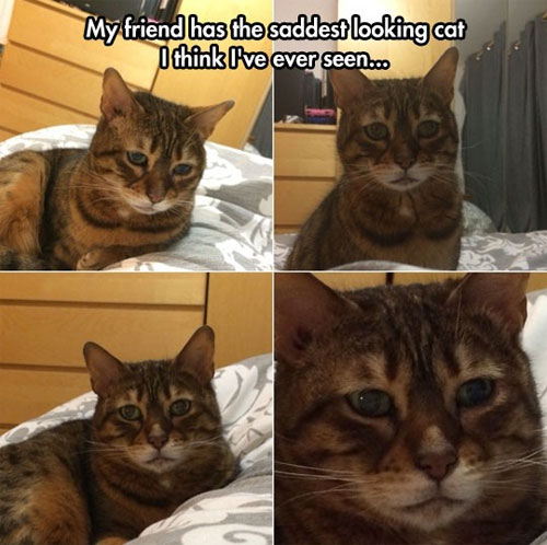 saddest