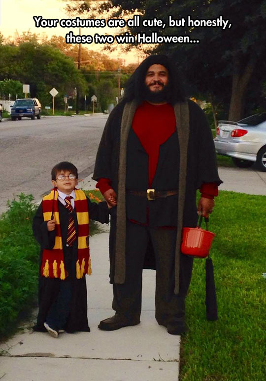 You’re A Wizard, Little Harry – Barnorama
