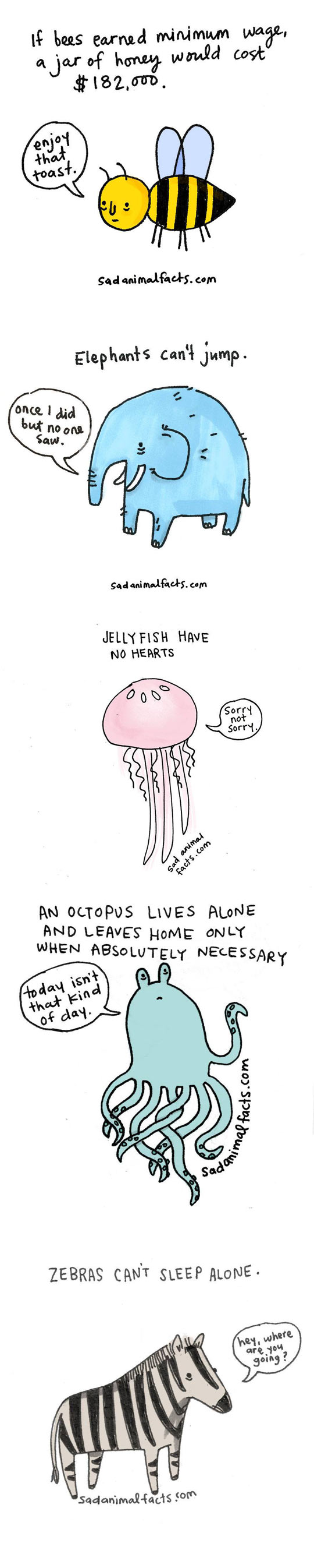 funny-sad-animal-facts-dog-octopus