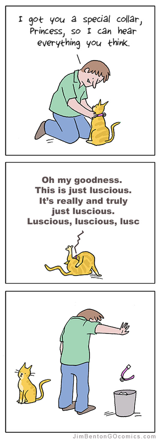 funny-comic-cat-collar-talking