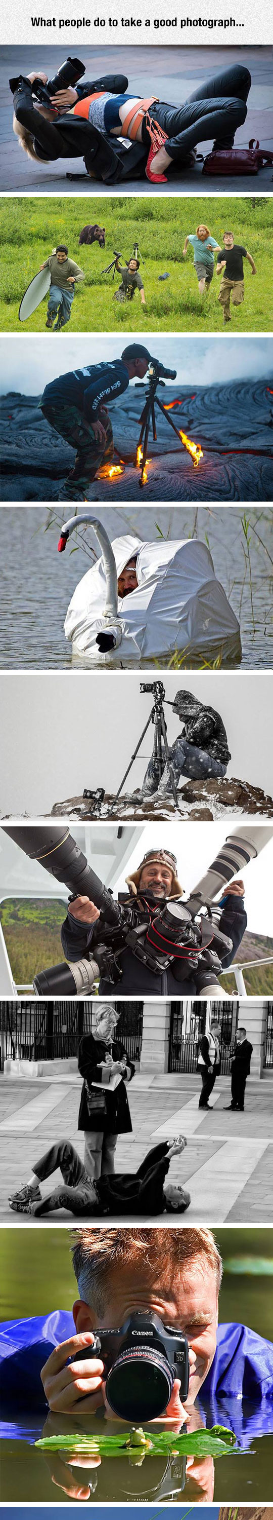 funny-cool-photographer-pose-fox-lake-swan