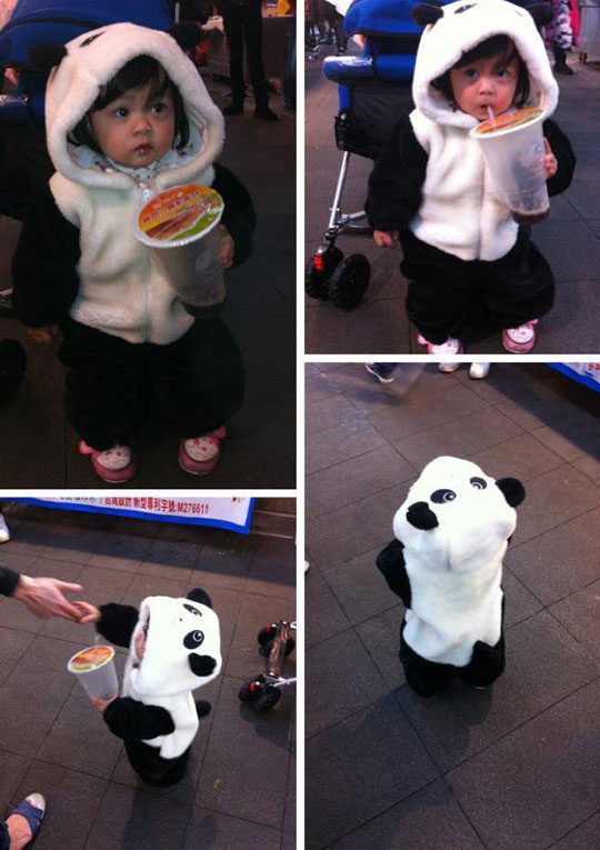 cool-Panda-toddler-costume