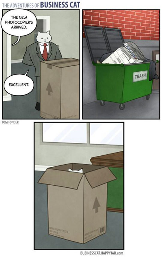 cool-cat-boss-box-photocopier