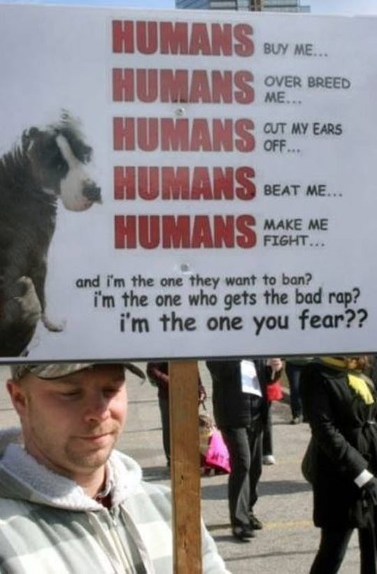 cool-humans-sign-fear-dog