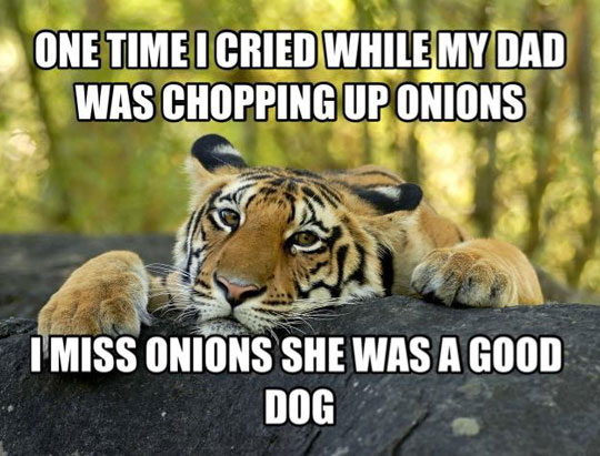cool-tiger-onion-shopping