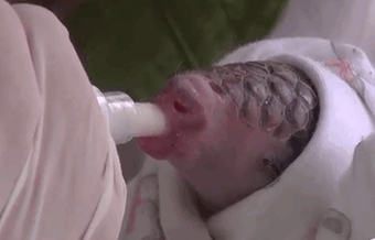 30-baby_pangolin_facts