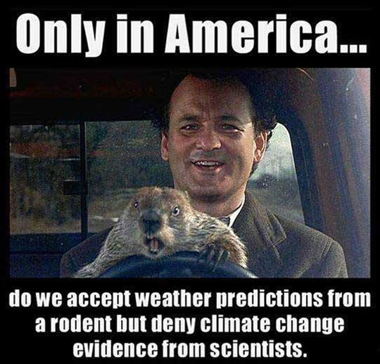 cool-bill-murray-groundhog-weather