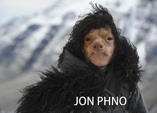 cool-john-snow-stephen-swap-face