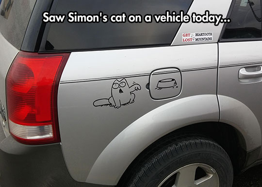 cool-simons-cat-vehicle-sticker