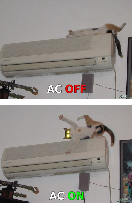 cool-cat-air-conditioner-off-on