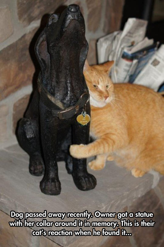 cool-cat-dog-died-statue-collar