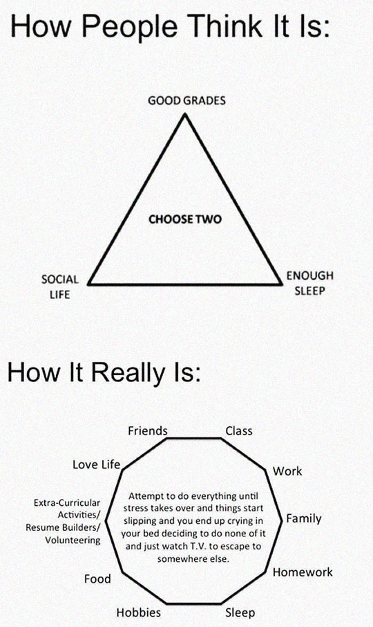 cool-college-life-chart-complex