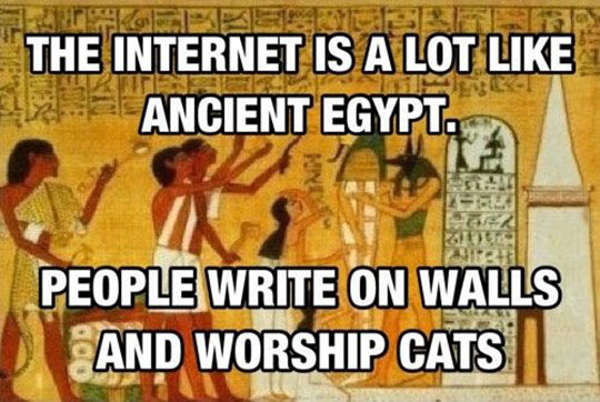 cool-internet-egypt-walls-writing-cats