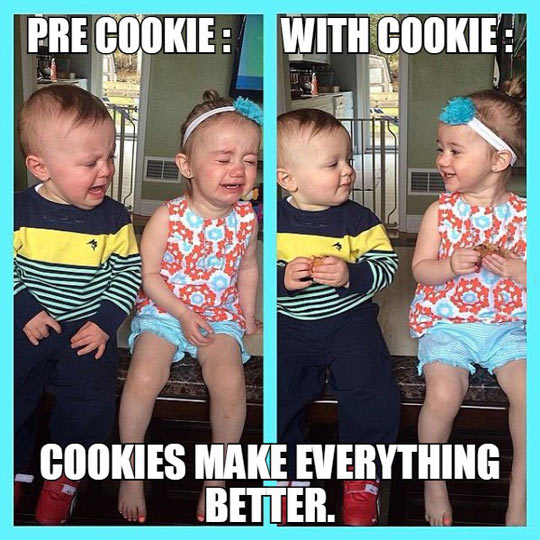 cool-kids-crying-cookie-happiness