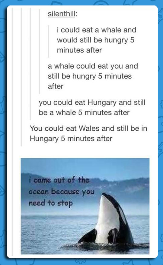cool-whale-comment-hungry-hungary