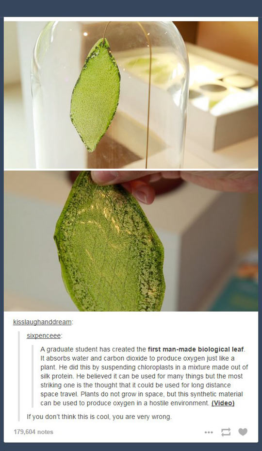 first-man-mad-leaf-lab-oxygen