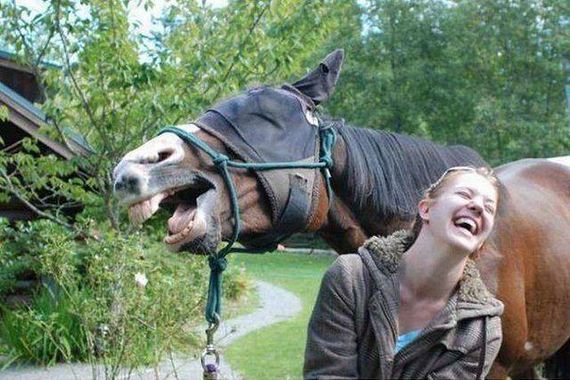 01-0funny-pictures-1348