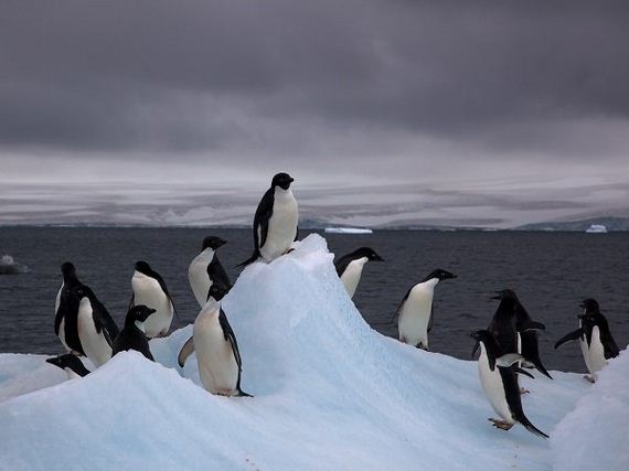 01-dont-know-much-about-antarctica-but-heres-what-we-do-photos
