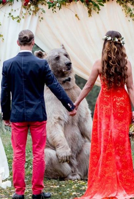 Just An Ordinary Wedding In Russia - Barnorama