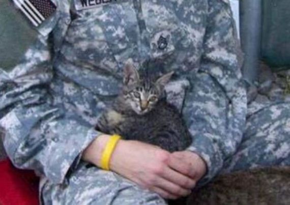 02-soldier-saves-cat-from-afghanistan