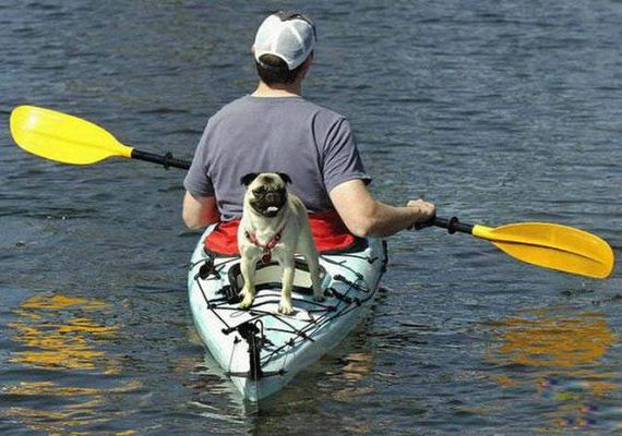07-unusual_boats