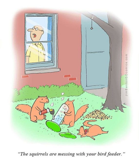 10-funny_animal_cartoons