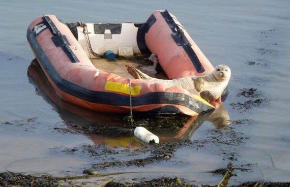 11-unusual_boats