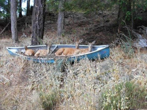13-unusual_boats
