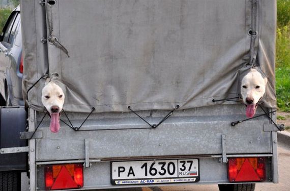 15-meanwhile-in-russia