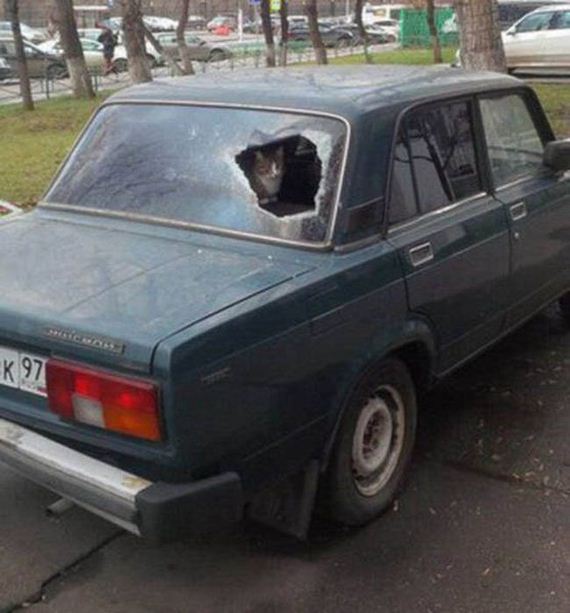 26-russia_wtf