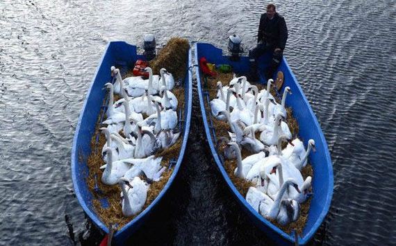 30-unusual_boats