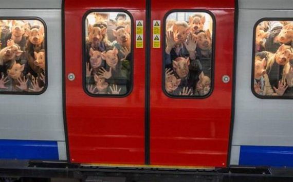37-0funny-pictures-1348