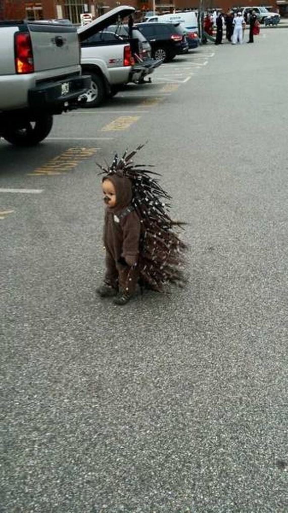 51-0funny-pictures-1348