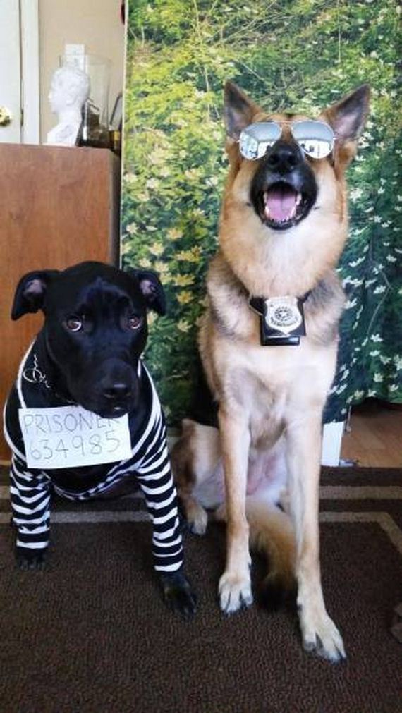 54-0funny-pictures-1348