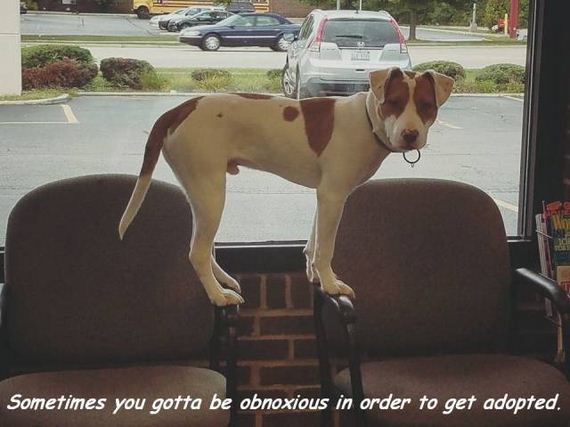 59-0funny-pictures-1348