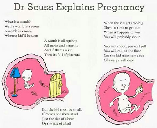 cool-dr-seuss-pregnancy-womb