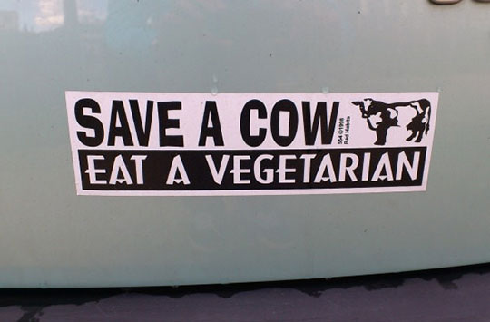 cool-cow-vegetarian-sticker-eating