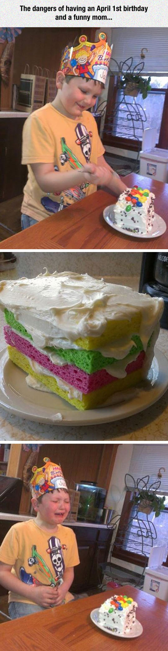 cool-kid-birthday-prank-cake-sponge-mom